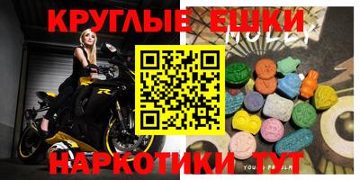 стаф Дубна