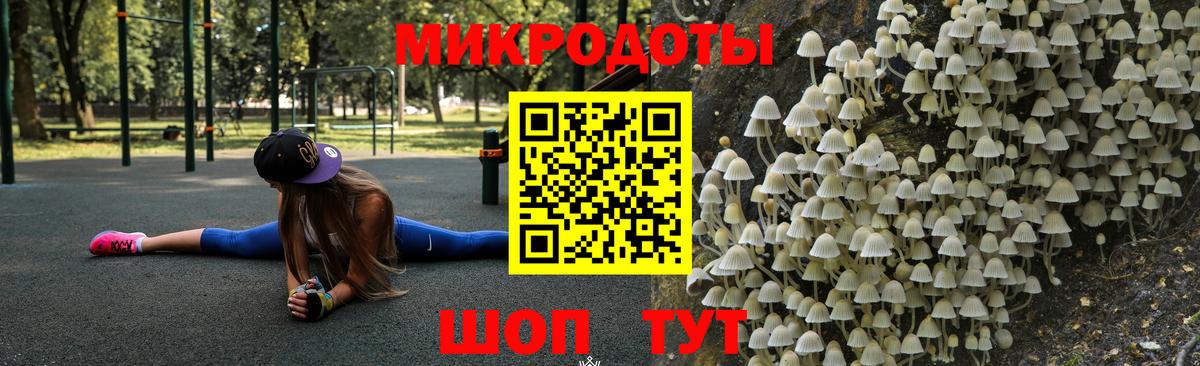 Псилоцибиновые грибы Cubensis  Вход с VPN  Ростов Великий 